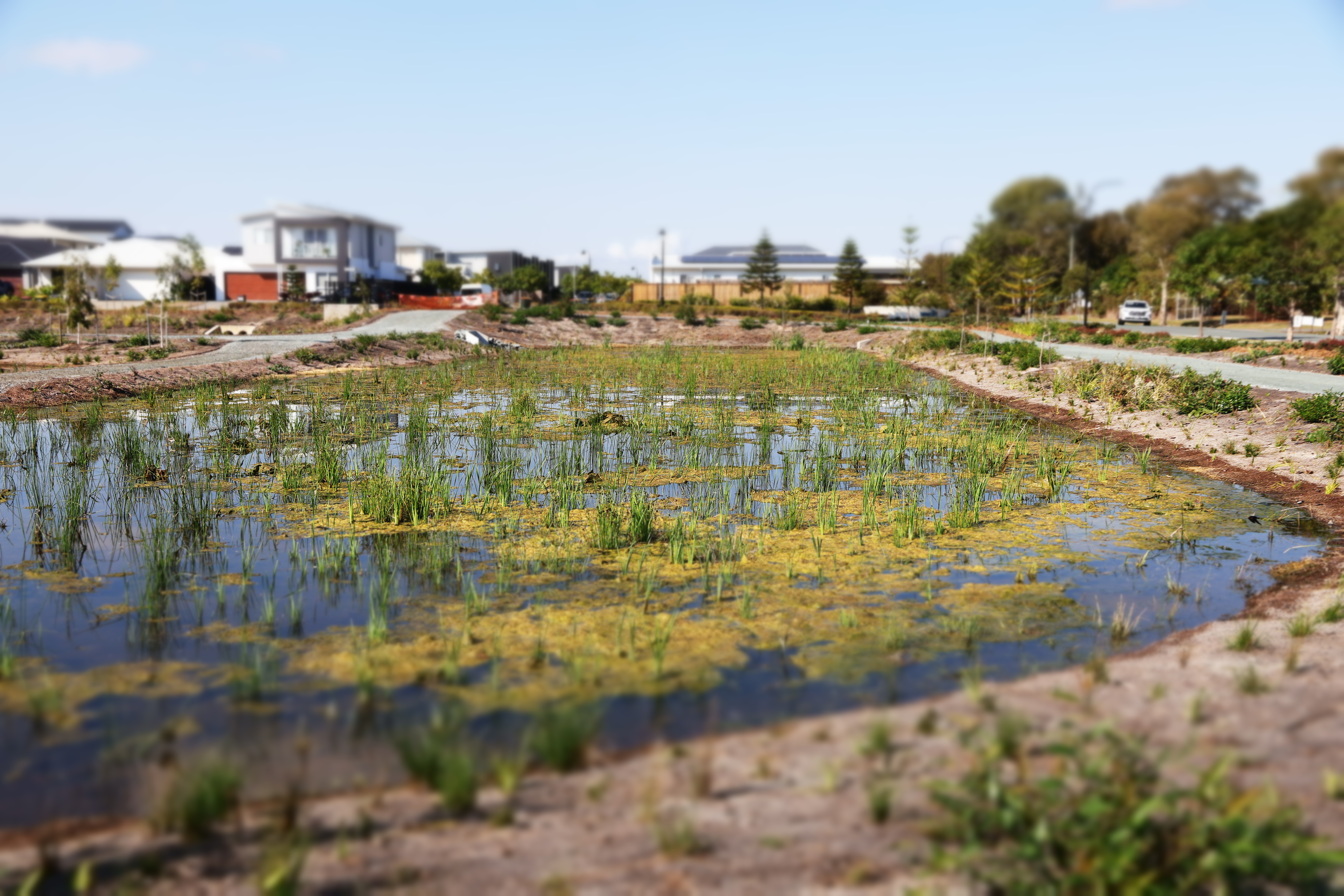 Hardscape Construction